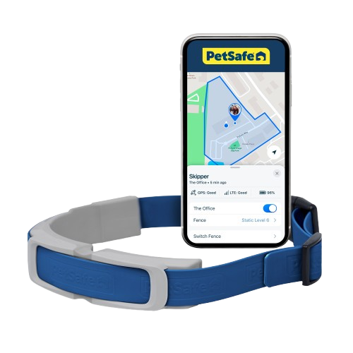PetSafe Guardian GPS + Tracking Dog Fence Collar, 2-Year Subscription